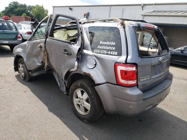 2008 Ford Escape XLT