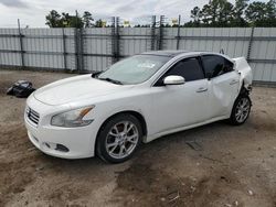 Nissan Maxima salvage cars for sale: 2013 Nissan Maxima S