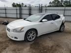 2013 Nissan Maxima S