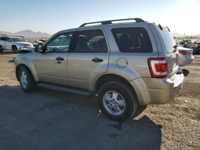 2011 Ford Escape XLT