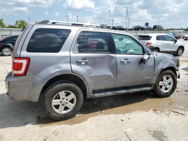 2008 Ford Escape HEV