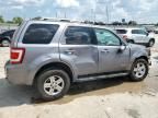 2008 Ford Escape HEV