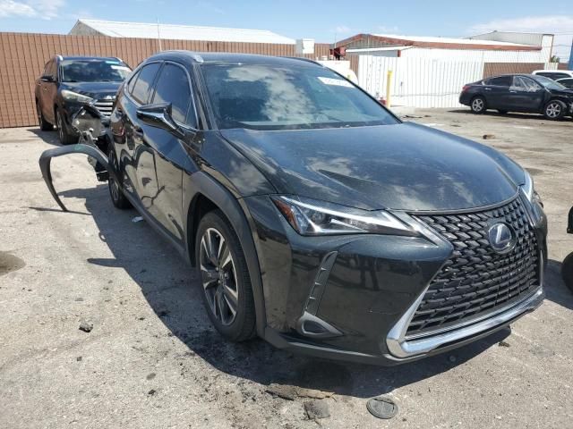 2019 Lexus UX 250H