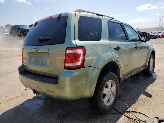 2008 Ford Escape XLT