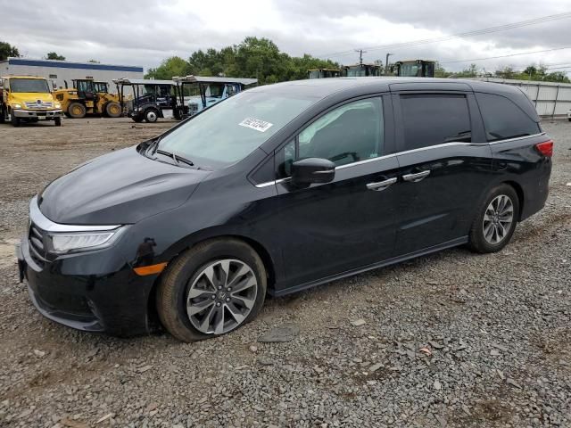 2022 Honda Odyssey EXL