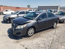 Toyota salvage cars for sale: 2010 Toyota Corolla Base