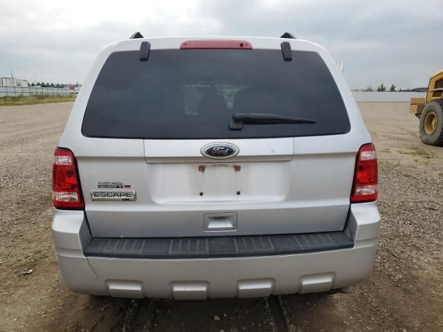 2011 Ford Escape XLT