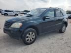 2006 Mercedes-Benz ML 350