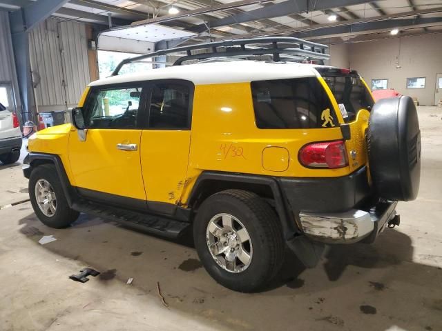 2007 Toyota FJ Cruiser