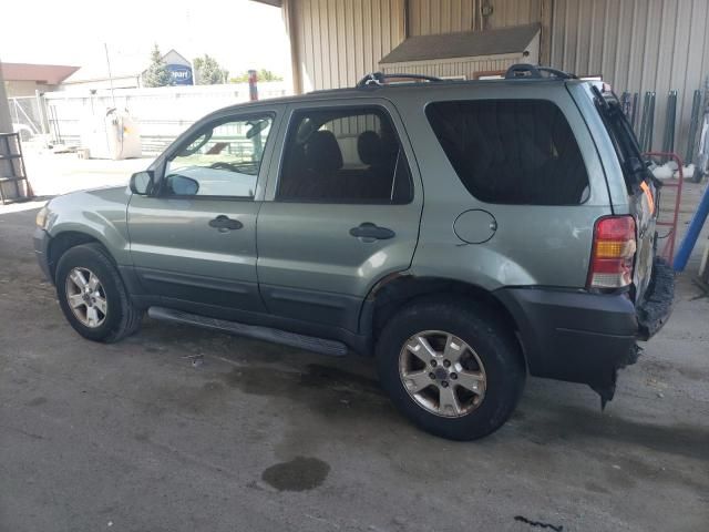 2006 Ford Escape XLT