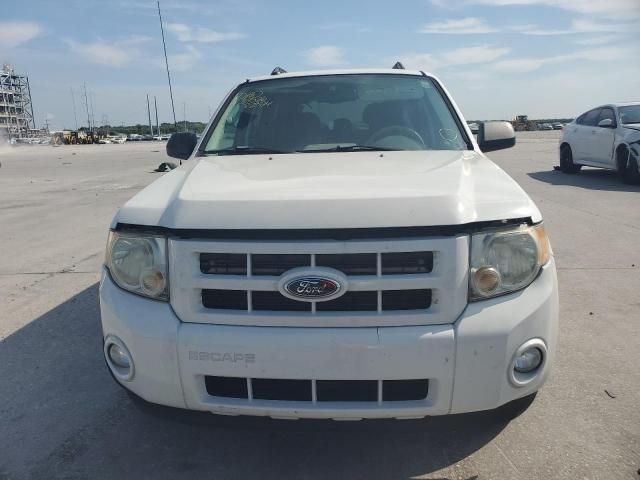 2009 Ford Escape Hybrid