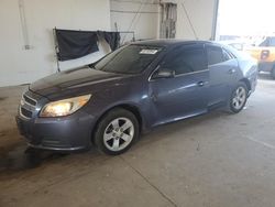 Salvage cars for sale at Lexington, KY auction: 2013 Chevrolet Malibu LS