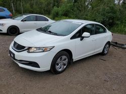 Salvage cars for sale at Cookstown, ON auction: 2013 Honda Civic LX