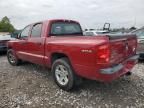 2010 Dodge Dakota SXT