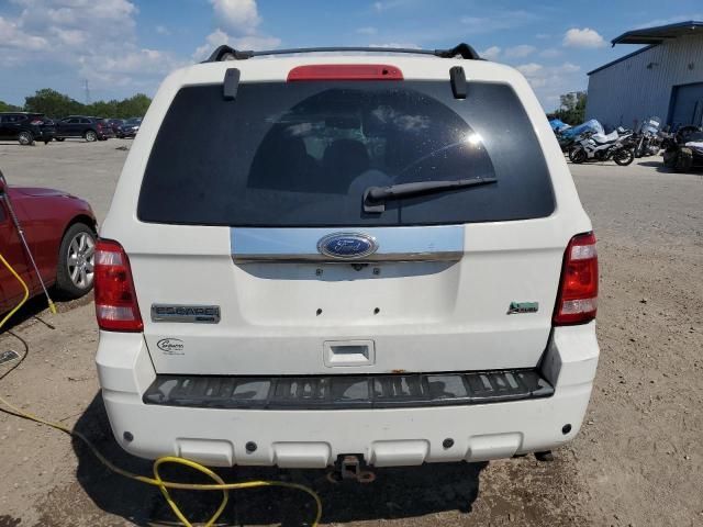 2010 Ford Escape Limited