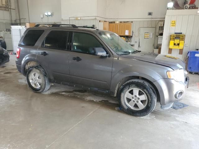 2012 Ford Escape XLT