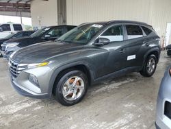 2023 Hyundai Tucson SEL en venta en Homestead, FL