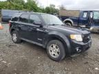 2008 Ford Escape Limited