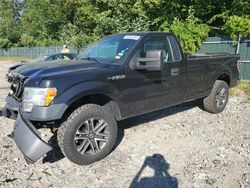 Salvage SUVs for sale at auction: 2014 Ford F150