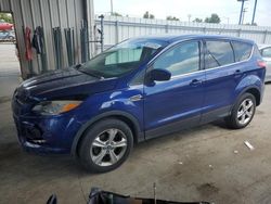 Ford salvage cars for sale: 2014 Ford Escape SE