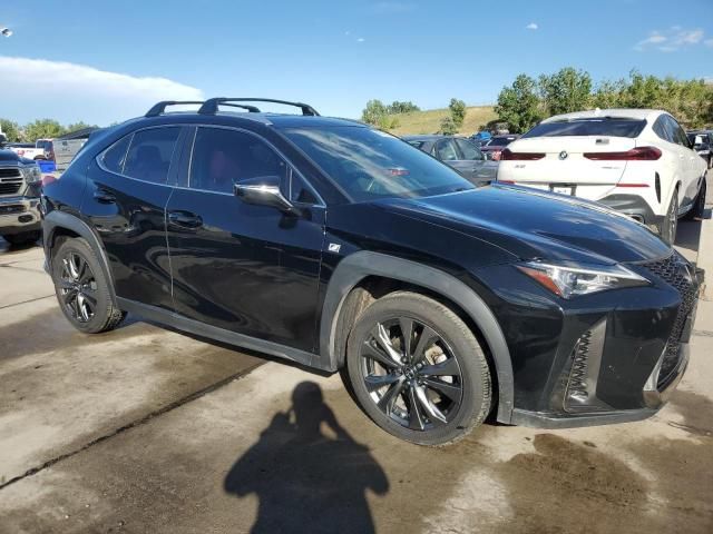 2019 Lexus UX 200