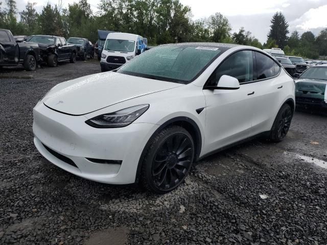 2021 Tesla Model Y