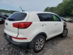 2014 KIA Sportage Base