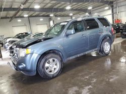 Salvage cars for sale at Ham Lake, MN auction: 2011 Ford Escape Limited