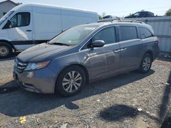 Salvage cars for sale at York Haven, PA auction: 2014 Honda Odyssey EXL