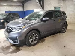 Salvage cars for sale at Chalfont, PA auction: 2020 Honda CR-V EX