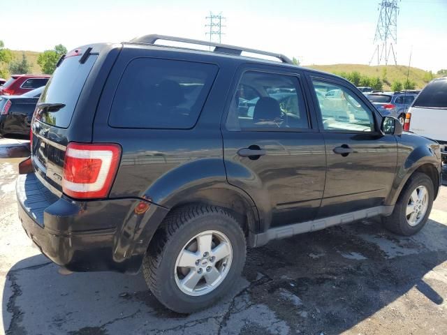 2009 Ford Escape XLT