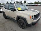 2017 Jeep Renegade Trailhawk