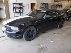 2012 Ford Mustang en venta en Ham Lake, MN