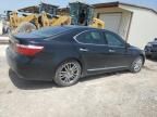 2009 Lexus LS 460