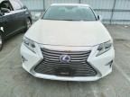 2016 Lexus ES 300H