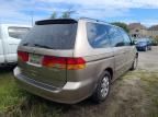 2004 Honda Odyssey EXL