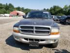 2002 Dodge Dakota Quad SLT