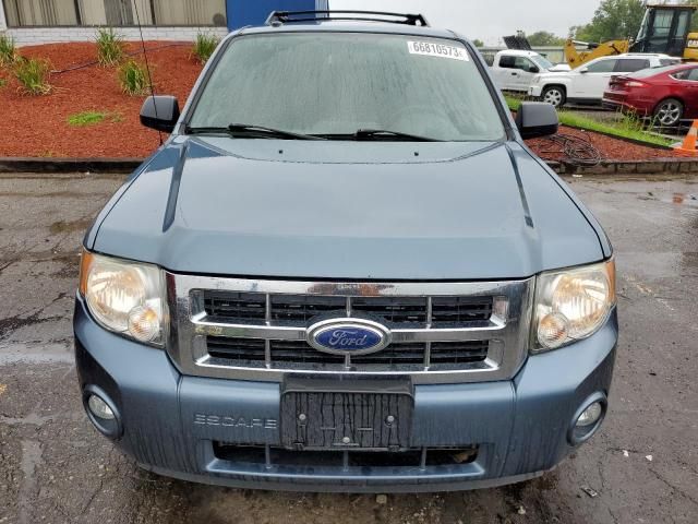 2011 Ford Escape XLT