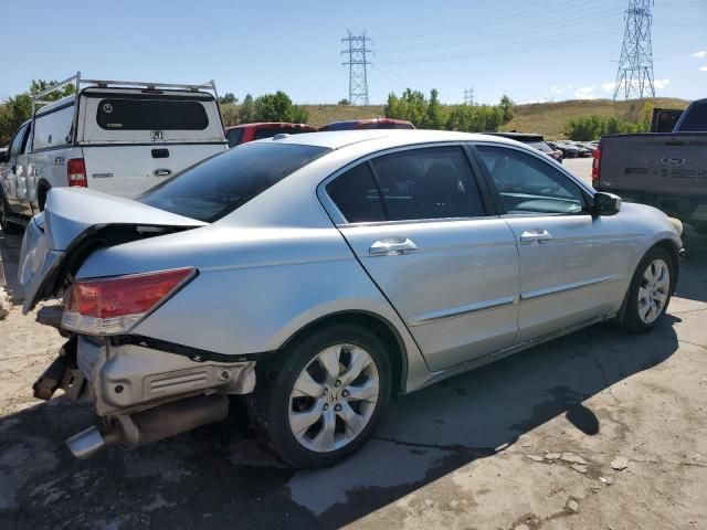 2010 Honda Accord EXL