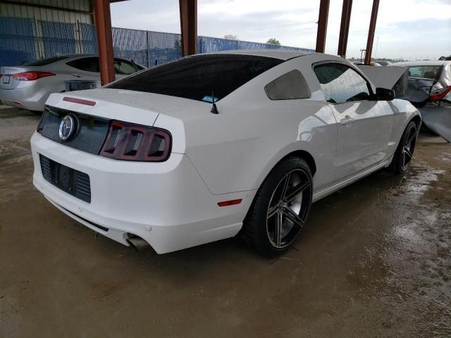 2013 Ford Mustang