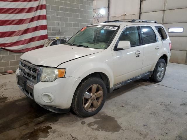 2010 Ford Escape Limited