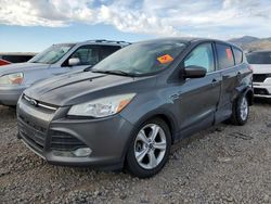 Salvage cars for sale from Copart Magna, UT: 2014 Ford Escape SE