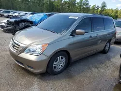 Salvage cars for sale at Harleyville, SC auction: 2010 Honda Odyssey EX