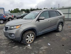 KIA Sorento salvage cars for sale: 2011 KIA Sorento Base