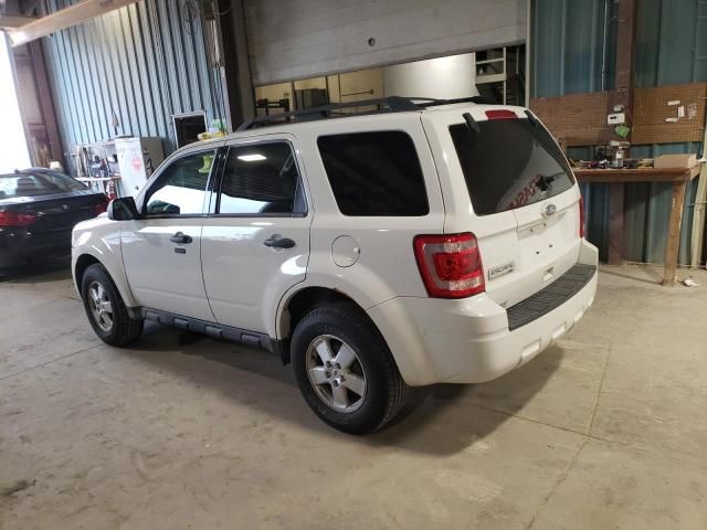 2011 Ford Escape XLT