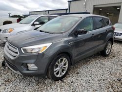 Salvage cars for sale at Wayland, MI auction: 2019 Ford Escape SE