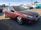 2008 Honda Accord EX