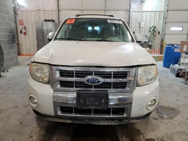 2010 Ford Escape Limited