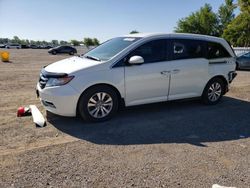 Salvage cars for sale at London, ON auction: 2014 Honda Odyssey EX