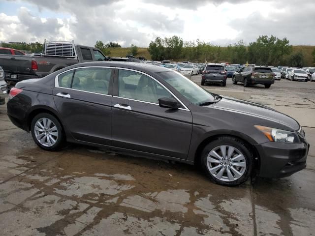 2011 Honda Accord EXL